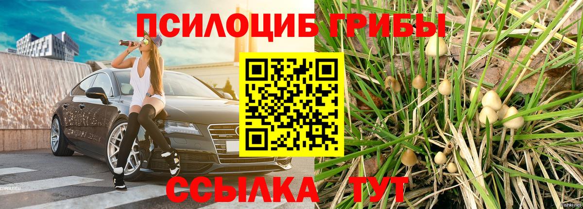 Галлюциногенные грибы Cubensis Сосновый Бор