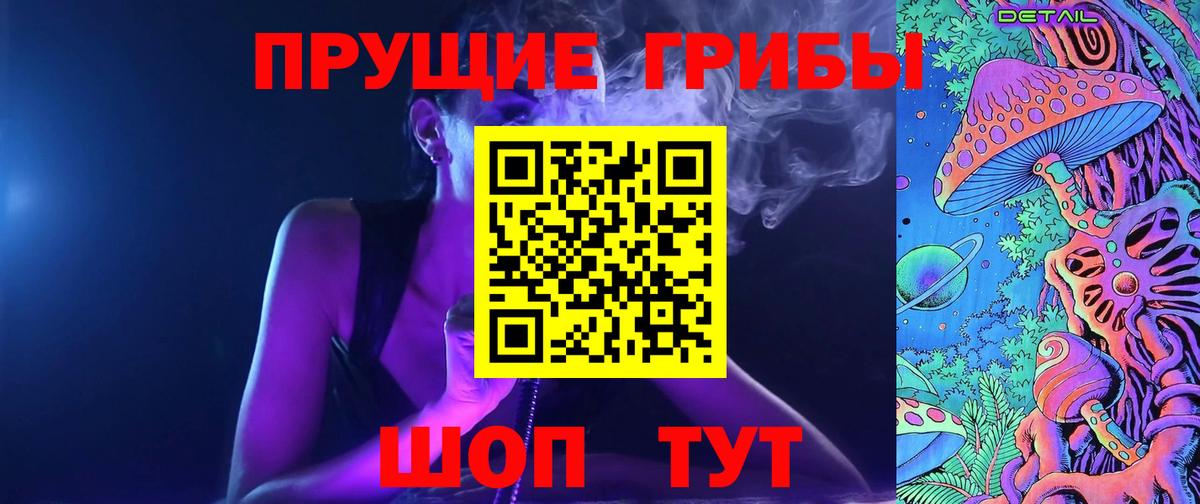 Псилоцибиновые грибы прущие грибы  Вход с VPN  Галлюциногенные грибы прущие грибы  Сосновый Бор 